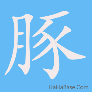 《豚》的筆順動畫寫字動畫演示