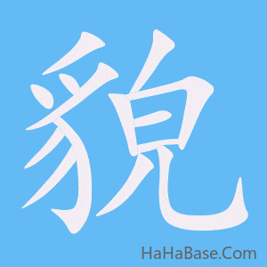 《貌》的筆順動畫寫字動畫演示