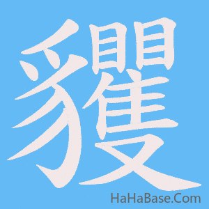 《貜》的筆順動畫寫字動畫演示