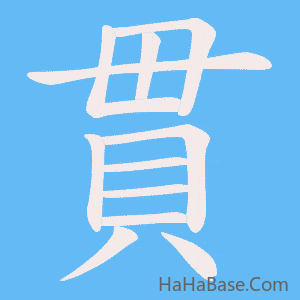 《貫》的筆順動畫寫字動畫演示