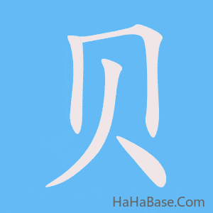 《贝》的筆順動畫寫字動畫演示