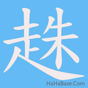 《趎》的筆順動畫寫字動畫演示