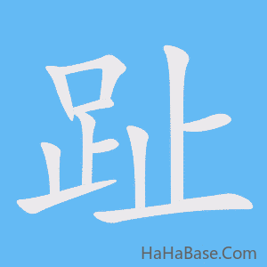 《趾》的筆順動畫寫字動畫演示