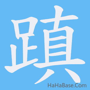 《蹎》的筆順動畫寫字動畫演示