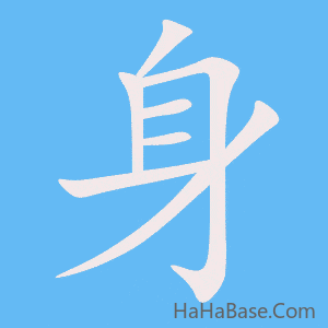 《身》的筆順動畫寫字動畫演示