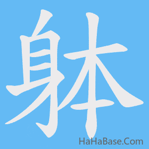 《躰》的筆順動畫寫字動畫演示