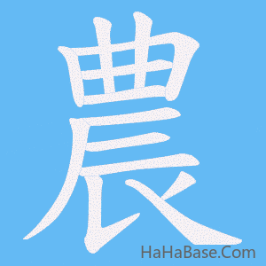 《農》的筆順動畫寫字動畫演示