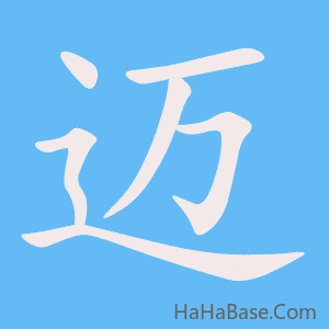 《迈》的筆順動畫寫字動畫演示