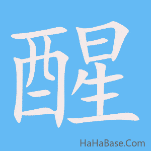 《醒》的筆順動畫寫字動畫演示