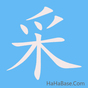 《采》的筆順動畫寫字動畫演示