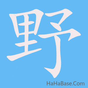 《野》的筆順動畫寫字動畫演示
