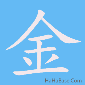 《金》的筆順動畫寫字動畫演示