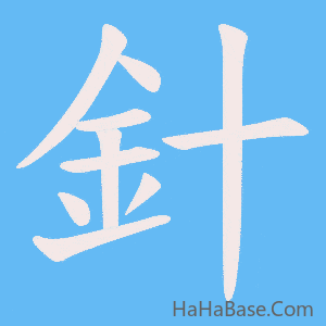 《針》的筆順動畫寫字動畫演示