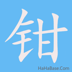 《钳》的筆順動畫寫字動畫演示