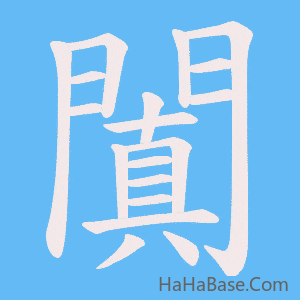 《闐》的筆順動畫寫字動畫演示