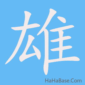 《雄》的筆順動畫寫字動畫演示