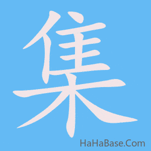 《集》的筆順動畫寫字動畫演示