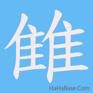 《雔》的筆順動畫寫字動畫演示