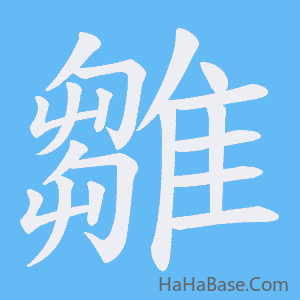 《雛》的筆順動畫寫字動畫演示