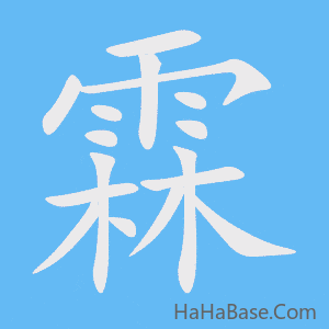《霖》的筆順動畫寫字動畫演示