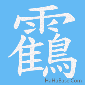 《靍》的筆順動畫寫字動畫演示