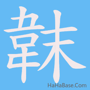 《韎》的筆順動畫寫字動畫演示