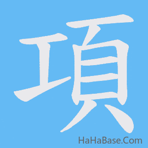 《項》的筆順動畫寫字動畫演示