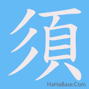 《須》的筆順動畫寫字動畫演示