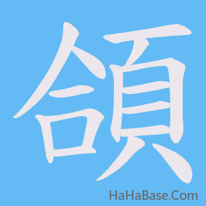 《頜》的筆順動畫寫字動畫演示