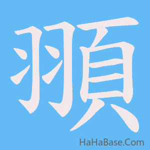 《頨》的筆順動畫寫字動畫演示