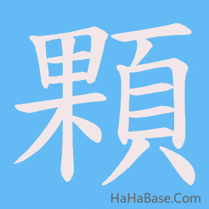 《顆》的筆順動畫寫字動畫演示