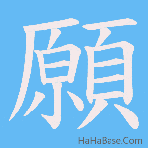 《願》的筆順動畫寫字動畫演示