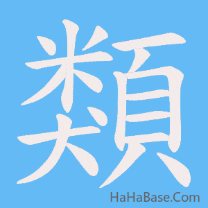《類》的筆順動畫寫字動畫演示