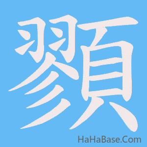《顟》的筆順動畫寫字動畫演示