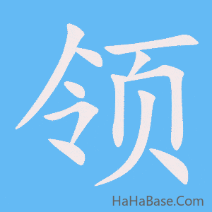 《领》的筆順動畫寫字動畫演示