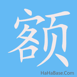 《额》的筆順動畫寫字動畫演示