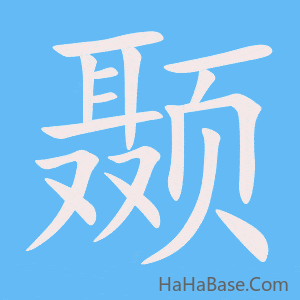《颞》的筆順動畫寫字動畫演示