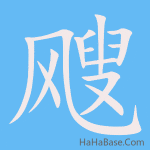 《飕》的筆順動畫寫字動畫演示
