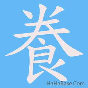 《飬》的筆順動畫寫字動畫演示