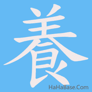 《養》的筆順動畫寫字動畫演示