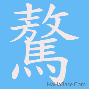 《驁》的筆順動畫寫字動畫演示