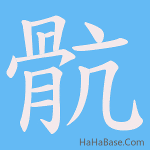 《骯》的筆順動畫寫字動畫演示