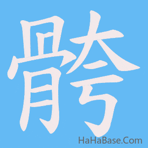 《骻》的筆順動畫寫字動畫演示