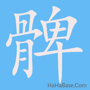 《髀》的筆順動畫寫字動畫演示