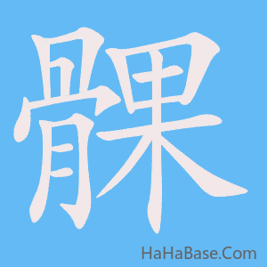《髁》的筆順動畫寫字動畫演示
