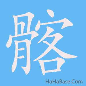 《髂》的筆順動畫寫字動畫演示