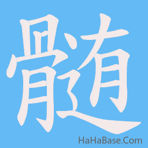 《髄》的筆順動畫寫字動畫演示