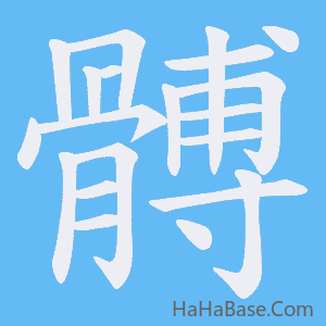 《髆》的筆順動畫寫字動畫演示