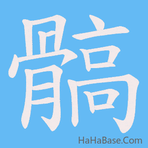 《髇》的筆順動畫寫字動畫演示