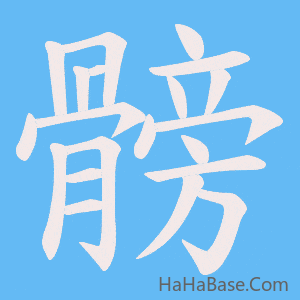《髈》的筆順動畫寫字動畫演示